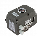 082X4557R Затвор Ридан PN16 DN080 чугун/EPDM/ЭП24В